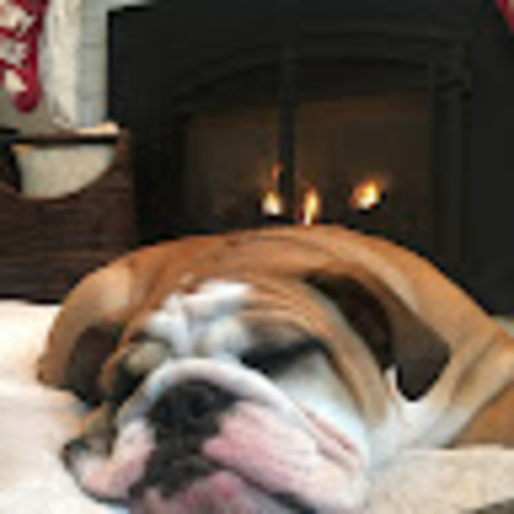 Meet your Posher, Lauryn - Picture 1 of 1